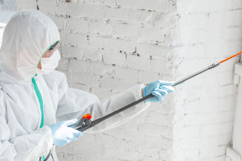 Bed Bug Treatment, COVID-19 Disinfection Services: Elizabethtown ...